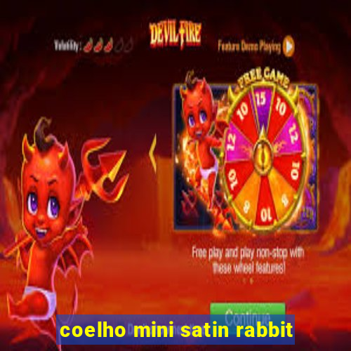 coelho mini satin rabbit